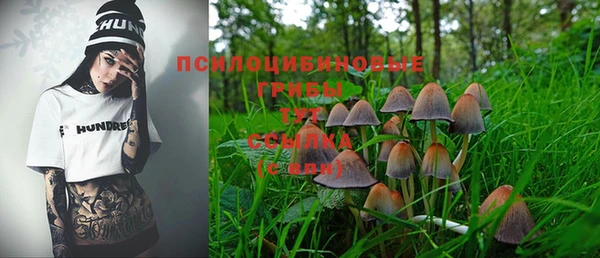 тгк Алзамай