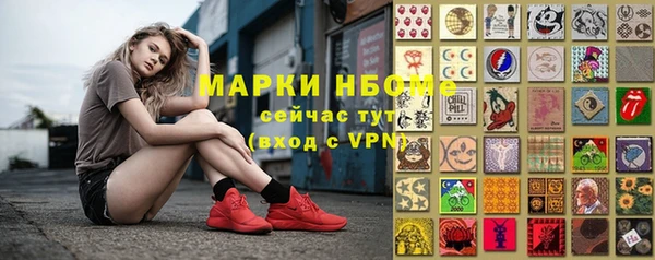 гашик Алексеевка
