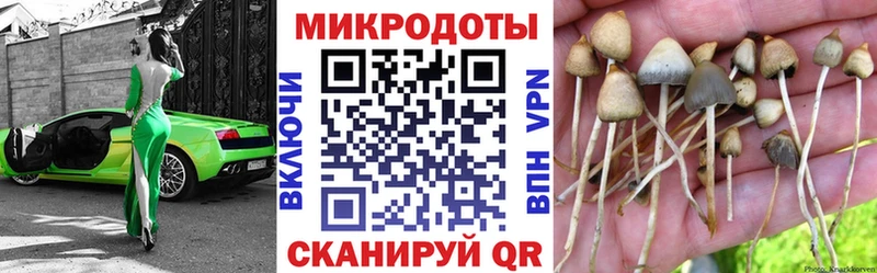 Галлюциногенные грибы Psilocybine cubensis  наркота  Медынь 